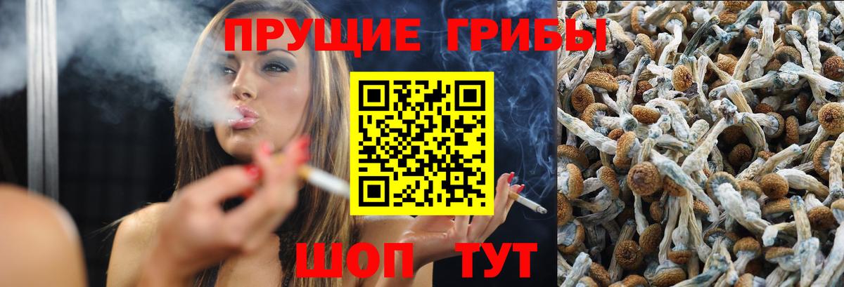 Галлюциногенные грибы GOLDEN TEACHER Елизово